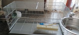gabbia per uccelli da 59 cm