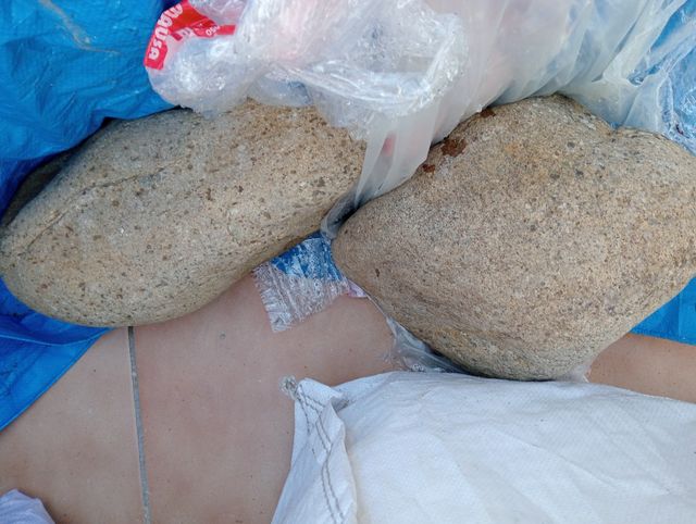 Piedras de río para jardín - Varias