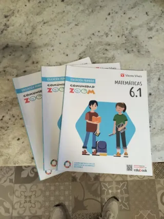 MATEMATICAS 6 TRIM (COMUNIDAD ZOOM)