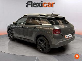 Citroën C4 Cactus BlueHDi 100 Shine