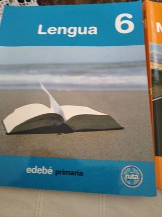 Matemáticas y lengua 6 de primaria 