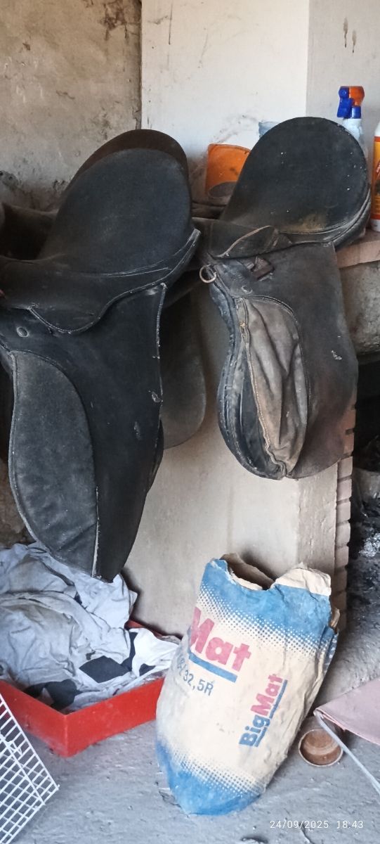 Lote 5 Monturas Inglesas