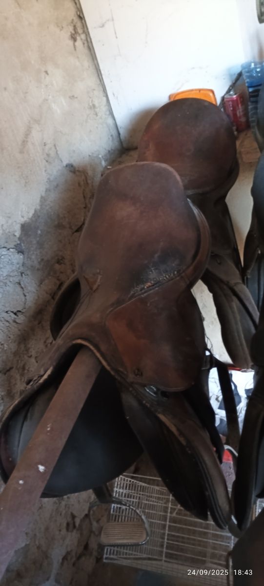 Lote 5 Monturas Inglesas