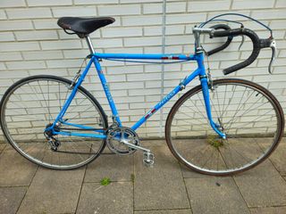 Bicicleta Pertosa Record