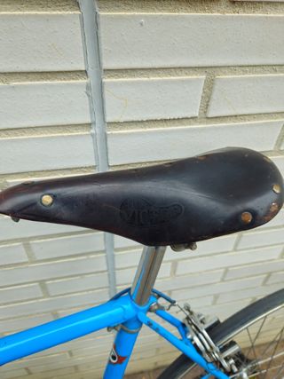 Bicicleta Pertosa Record