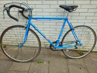 Bicicleta Pertosa Record