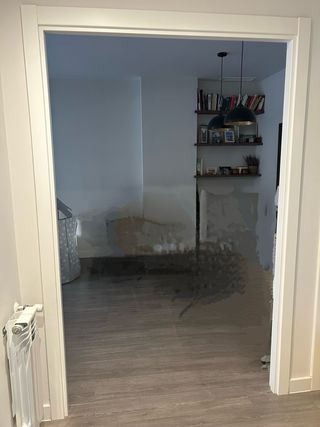 Puerta doble madera blanca con cristal
