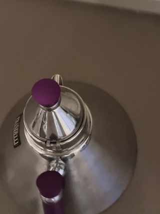 Bollitore Prandelli Argento e Viola