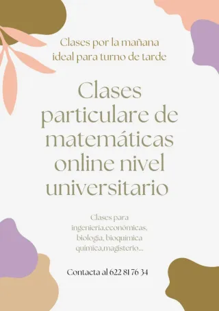 Clases particulares online