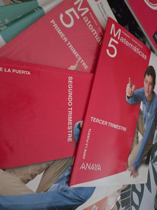 5° primaria 