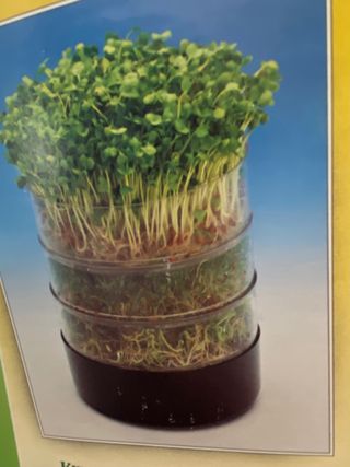 Germinador de semillas