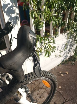 Mini bici da ghiaia Trek da 20".



