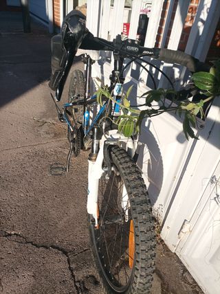 Mini bici da ghiaia Trek da 20".



