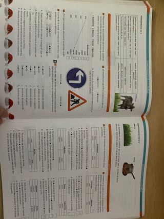 Lengua castellana y Literatura 2 ESO 