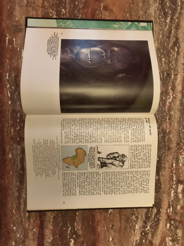 Colección de 9 tomos sobre el reino animal