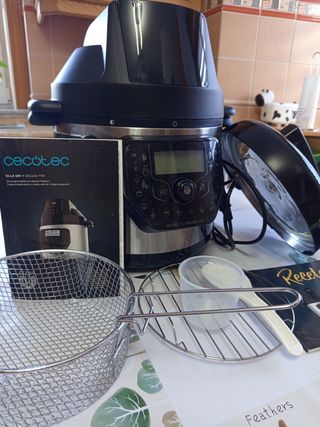 Olla GM H Deluxe Fry Cecotec