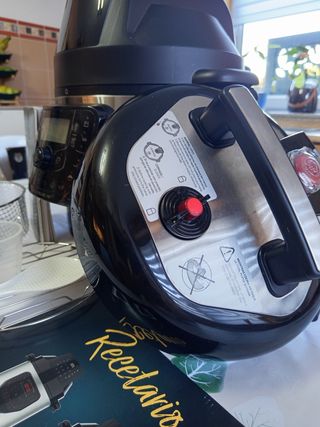 Olla GM H Deluxe Fry Cecotec