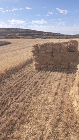 Paquete de paja pequeño