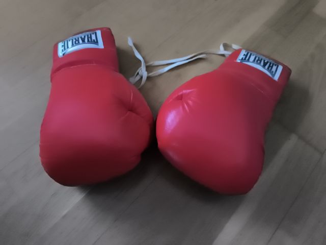 Guantes de boxeo Charlie Rojos
