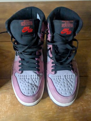 Air Jordan 1 High Element Gore-Tex