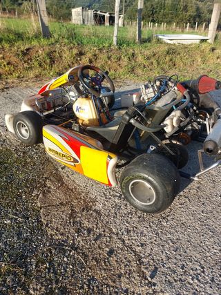 Kart de asfalto Intrepid 125 cm3 de marchas