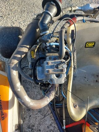 Kart de asfalto Intrepid 125 cm3 de marchas