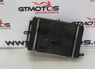 Radiador Agua Kymco Grand-Dink 125/150 2004-2006