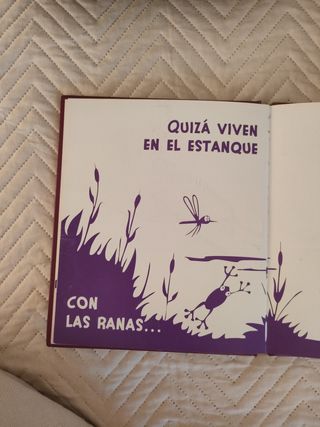¿Dónde viven las hadas?: Cuento para leer a osc...