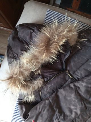 Plumas Tintoretto Marrón con pelo auténtico