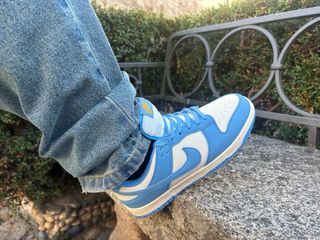 Nike Dunk Low Azul/Blanco 41