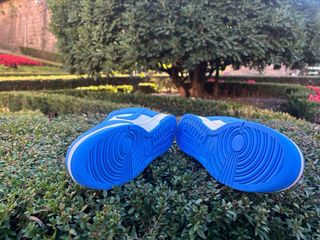 Nike Dunk Low Azul/Blanco 41