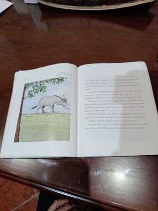 Platero Contado A Los niños (Rustica)