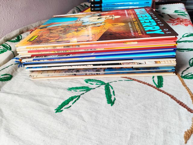 Lote Blueberry 27, 30, 34, 37 y 40