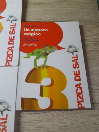 El acertijo de la vida (Pizca De Sal) (Spanish ...