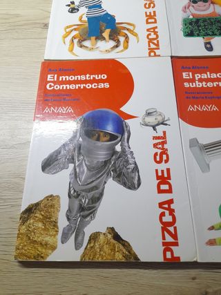 El acertijo de la vida (Pizca De Sal) (Spanish ...