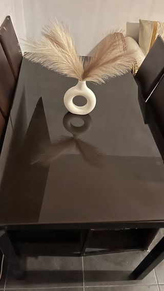 Mesa familiar con 6 sillas de cuero