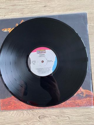 Tigres - Take It All Vinilo Hard Rock