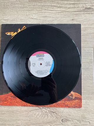 Tigres - Take It All Vinilo Hard Rock