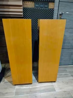 Altavoces Dali 7A (Rebaja)