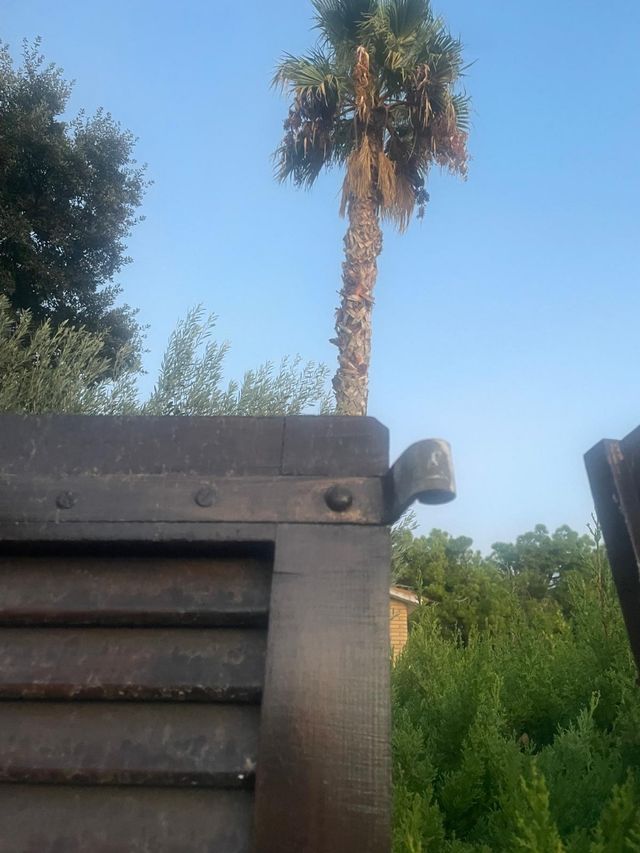 Mallorquina de madera 67x2'10cms