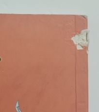 Violín (Spanish Edition)