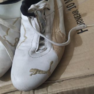 Tenis Puma Ferrari Talla 37