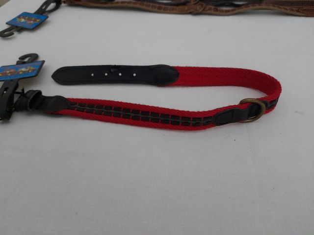 Collar para perro 50 cm