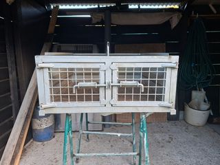 Cajon para perros sin tapa.