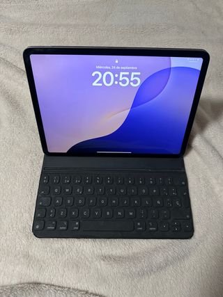 iPad Pro 11 256GB Gris