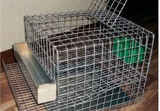 Jaula para codornices