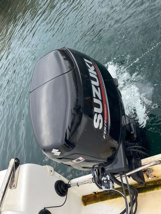 Embarcación Delfyn 520