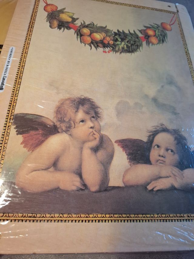 Set 4 pezzi (2 confezioni) box grandi plastificate