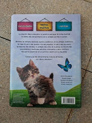 Animales Domésticos (Spanish Edition)