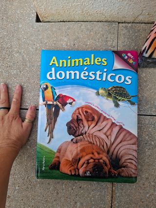 Animales Domésticos (Spanish Edition)